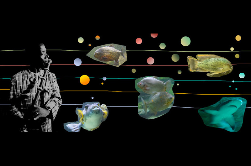 Flute, poisson, jazz
